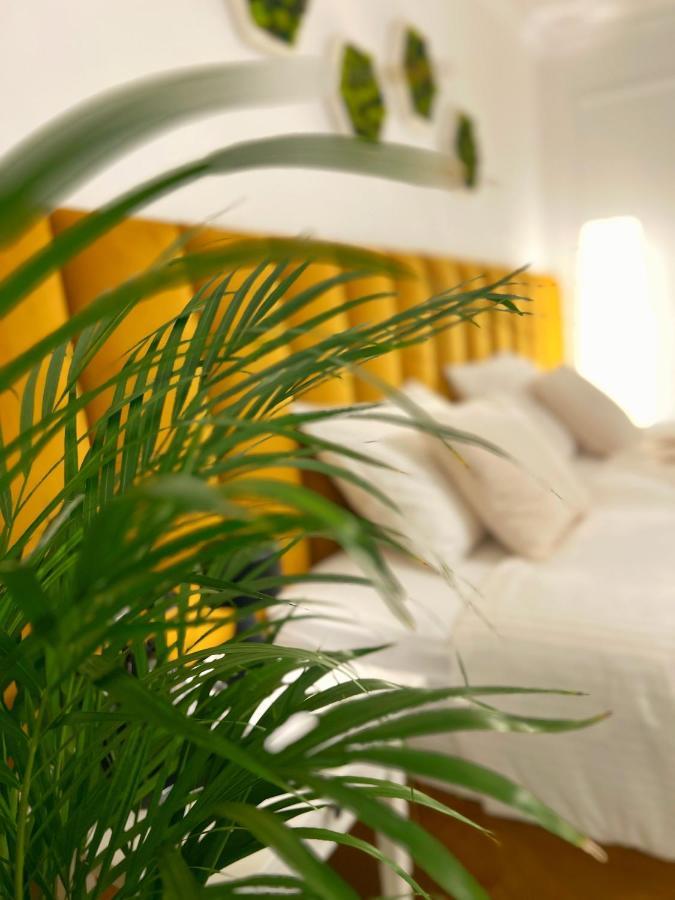 Studio 118 - A Luxury Place,10Min Walk To City Center تيميشورا المظهر الخارجي الصورة